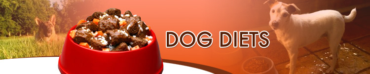 A Dogs Diet Influences Oral Health at Dog Diets